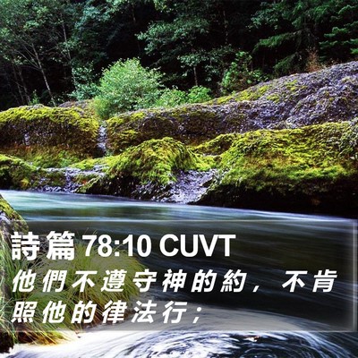 詩 篇 78:10 CUVT Bible Verse Image