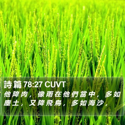 詩 篇 78:27 CUVT Bible Verse Image