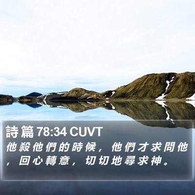 詩 篇 78:34 CUVT Bible Verse Image
