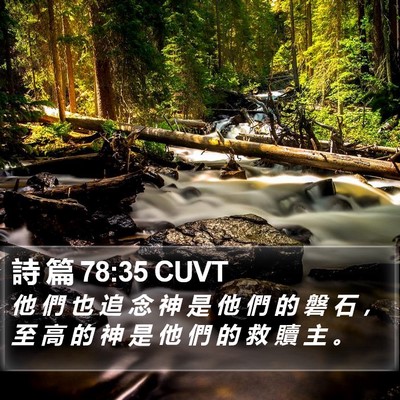 詩 篇 78:35 CUVT Bible Verse Image