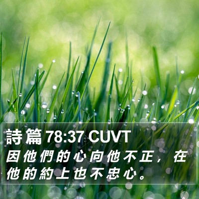 詩 篇 78:37 CUVT Bible Verse Image