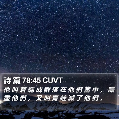 詩 篇 78:45 CUVT Bible Verse Image