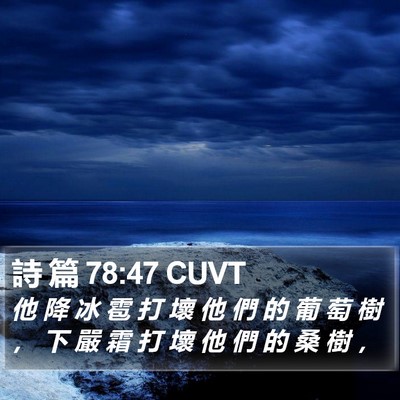 詩 篇 78:47 CUVT Bible Verse Image