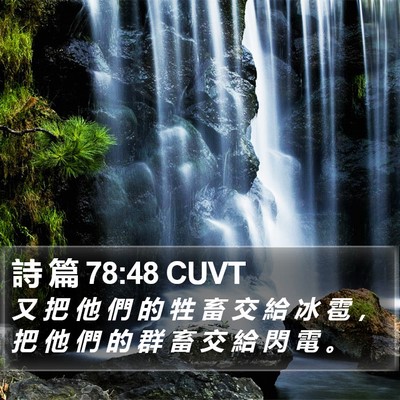詩 篇 78:48 CUVT Bible Verse Image