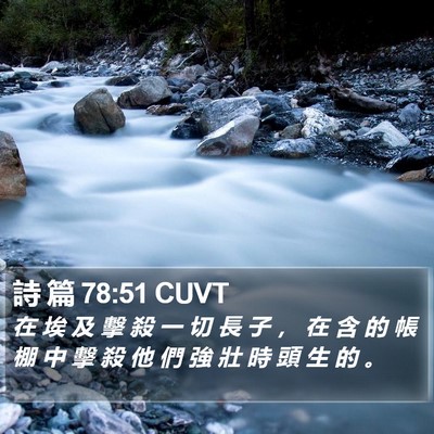 詩 篇 78:51 CUVT Bible Verse Image