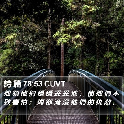 詩 篇 78:53 CUVT Bible Verse Image