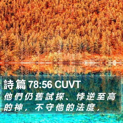 詩 篇 78:56 CUVT Bible Verse Image