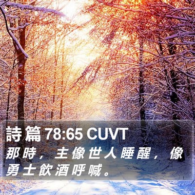 詩 篇 78:65 CUVT Bible Verse Image