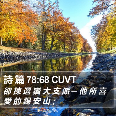 詩 篇 78:68 CUVT Bible Verse Image