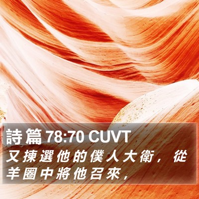 詩 篇 78:70 CUVT Bible Verse Image