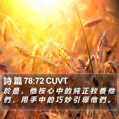 詩 篇 78:72 CUVT Bible Verse Image