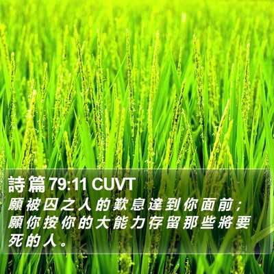 詩 篇 79:11 CUVT Bible Verse Image