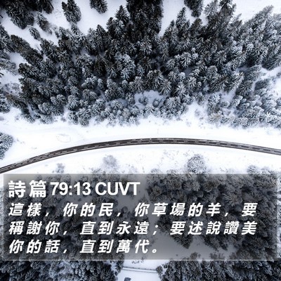 詩 篇 79:13 CUVT Bible Verse Image