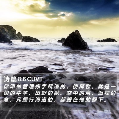詩 篇 8:6 CUVT Bible Verse Image