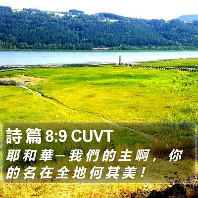 詩 篇 8:9 CUVT Bible Verse Image