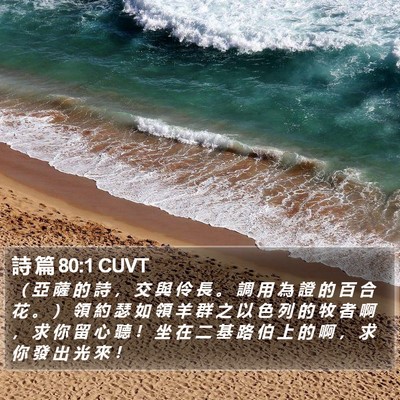 詩 篇 80:1 CUVT Bible Verse Image