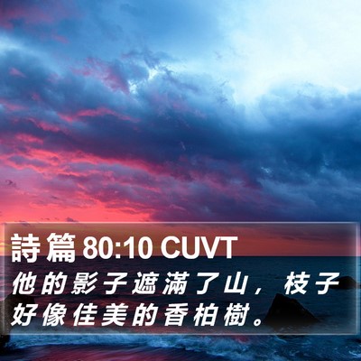 詩 篇 80:10 CUVT Bible Verse Image