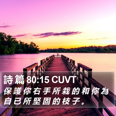 詩 篇 80:15 CUVT Bible Verse Image