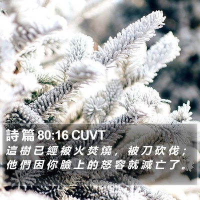 詩 篇 80:16 CUVT Bible Verse Image