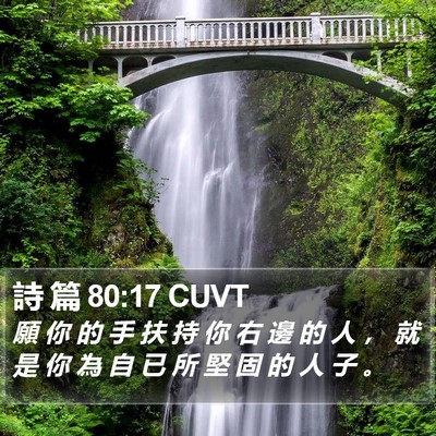 詩 篇 80:17 CUVT Bible Verse Image