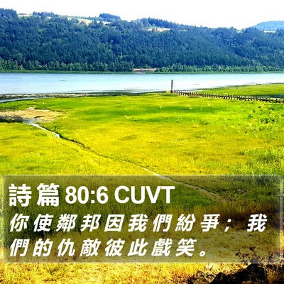 詩 篇 80:6 CUVT Bible Verse Image
