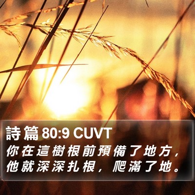 詩 篇 80:9 CUVT Bible Verse Image
