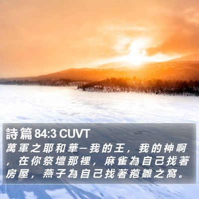 詩 篇 84:3 CUVT Bible Verse Image