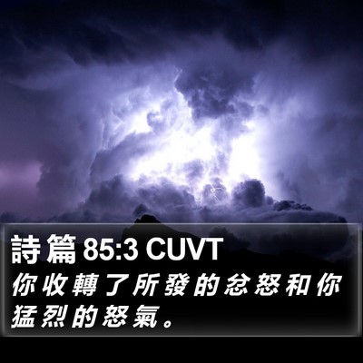 詩 篇 85:3 CUVT Bible Verse Image
