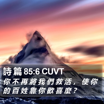 詩 篇 85:6 CUVT Bible Verse Image