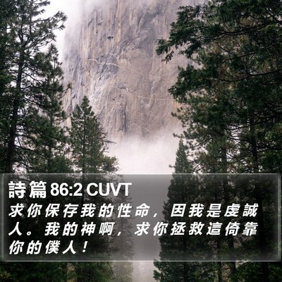詩 篇 86:2 CUVT Bible Verse Image