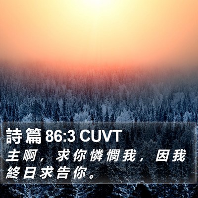 詩 篇 86:3 CUVT Bible Verse Image