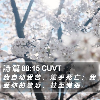 詩 篇 88:15 CUVT Bible Verse Image