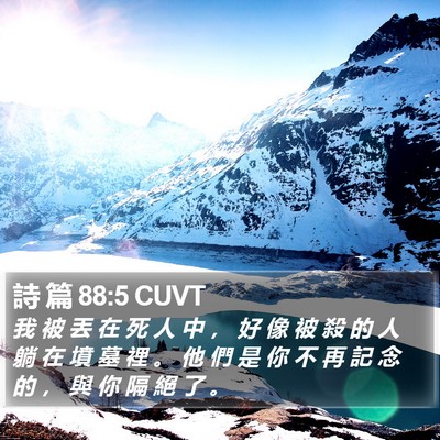 詩 篇 88:5 CUVT Bible Verse Image