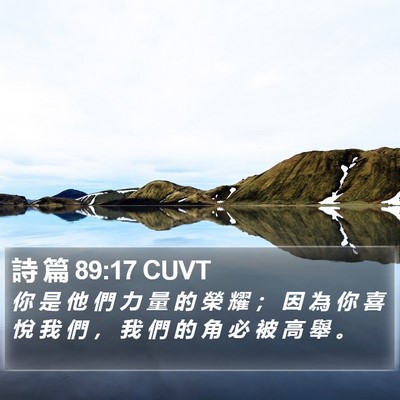 詩 篇 89:17 CUVT Bible Verse Image