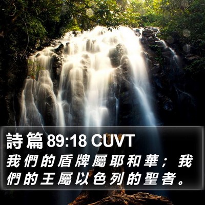 詩 篇 89:18 CUVT Bible Verse Image