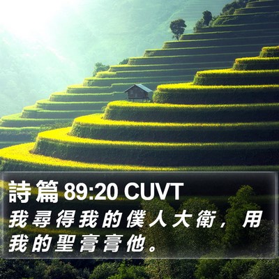 詩 篇 89:20 CUVT Bible Verse Image