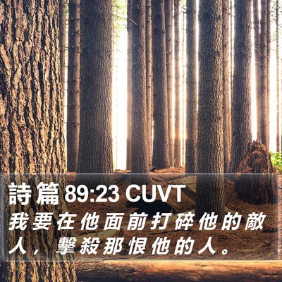 詩 篇 89:23 CUVT Bible Verse Image