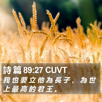 詩 篇 89:27 CUVT Bible Verse Image