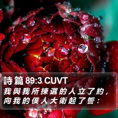 詩 篇 89:3 CUVT Bible Verse Image