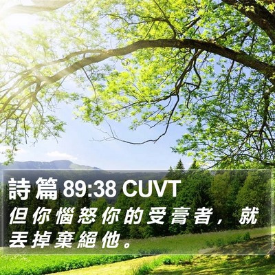 詩 篇 89:38 CUVT Bible Verse Image
