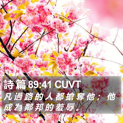 詩 篇 89:41 CUVT Bible Verse Image
