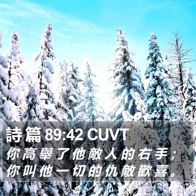 詩 篇 89:42 CUVT Bible Verse Image