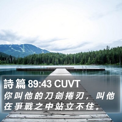 詩 篇 89:43 CUVT Bible Verse Image
