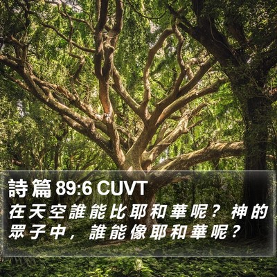 詩 篇 89:6 CUVT Bible Verse Image
