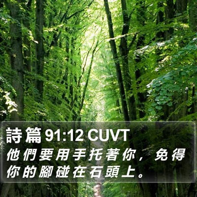 詩 篇 91:12 CUVT Bible Verse Image
