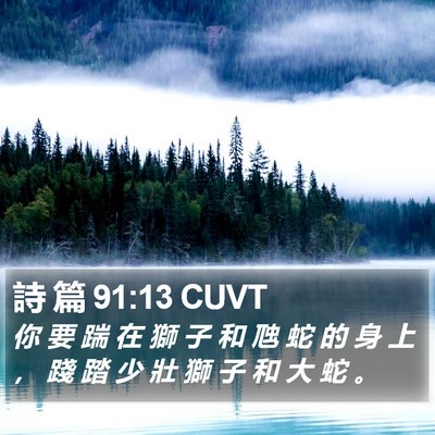 詩 篇 91:13 CUVT Bible Verse Image