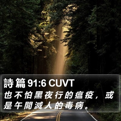 詩 篇 91:6 CUVT Bible Verse Image