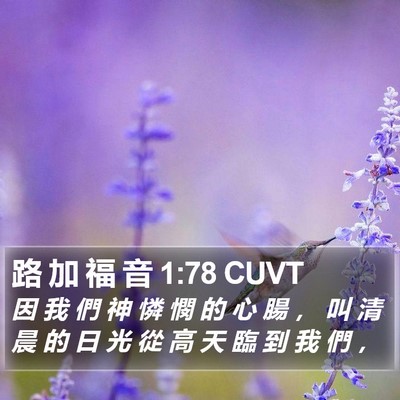 路 加 福 音 1:78 CUVT Bible Verse Image