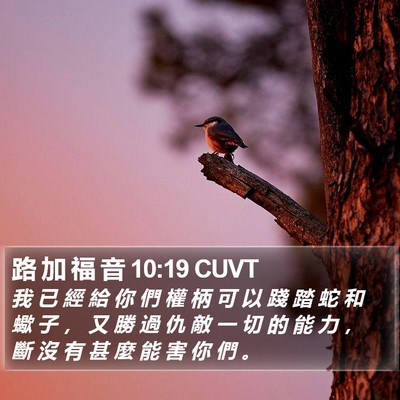 路 加 福 音 10:19 CUVT Bible Verse Image