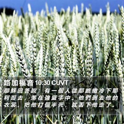 路 加 福 音 10:30 CUVT Bible Verse Image